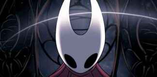 hollow-knight-silksong-fans-speculate-on-major-announcement