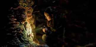 recap-of-the-last-of-us-season-2-episode-5-red-alert