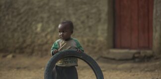 pexels photo 14456849