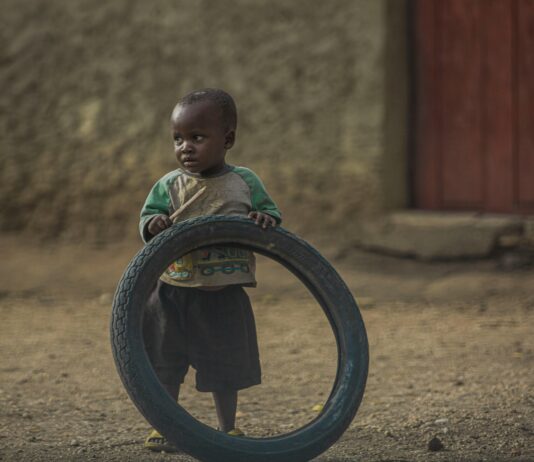 pexels photo 14456849