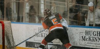 pexels photo 15343886 1