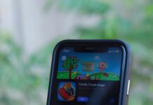 pexels photo 16349243