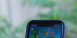 pexels photo 16349243