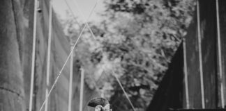 pexels photo 16436575