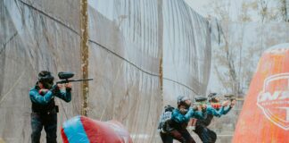 pexels photo 16436590