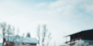 pexels photo 19727176