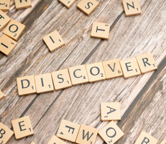 pexels photo 19802197