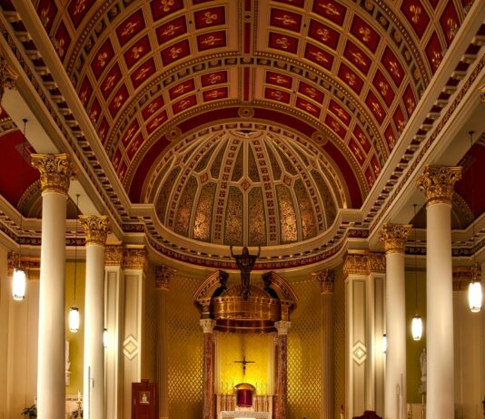 The Seven Deadly Sins Grand Cross Game Review: Ultimate Guide pexels photo 208277