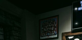 pexels photo 23230835