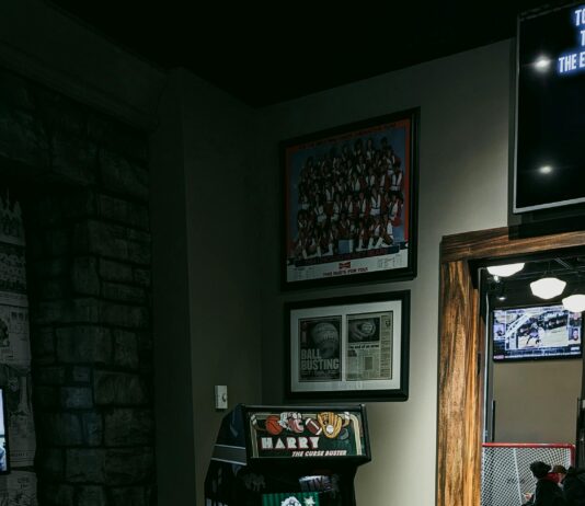 pexels photo 23230835