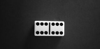 pexels photo 27601763