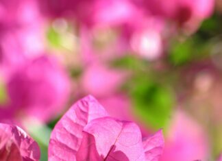 Tales Of Wind Game Review: Unveiling Hidden Secrets & Epic Gameplay