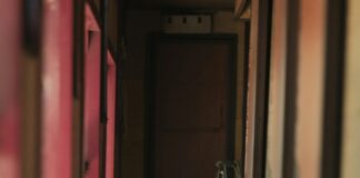 pexels photo 30595804