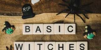 pexels photo 3177258