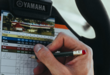 pexels photo 33176670