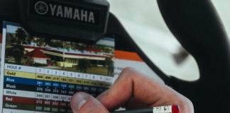 pexels photo 33176670