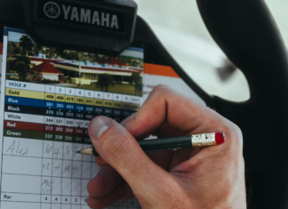 Transport Fever Game Review: Discover Why Players Are Obsessed