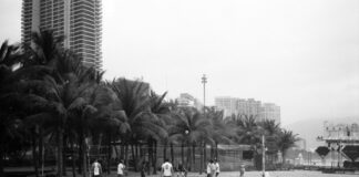 pexels photo 33205957