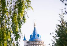 pexels photo 33250110