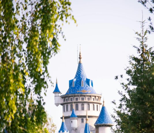 pexels photo 33250110