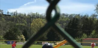 pexels photo 4022293