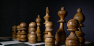 pexels photo 4576322