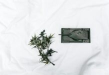 pexels photo 5257445