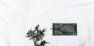 pexels photo 5257445