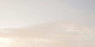 pexels photo 6256853