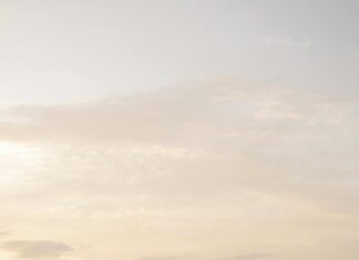 The Walking Dead: Survivors Game Review – Is It Worth Playing?