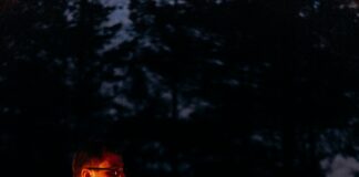 pexels photo 6623950