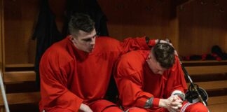 pexels photo 6847305 1