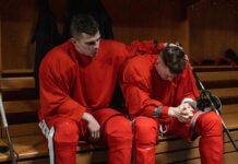 pexels photo 6847305