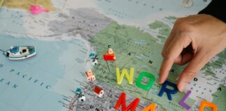 pexels photo 8828445