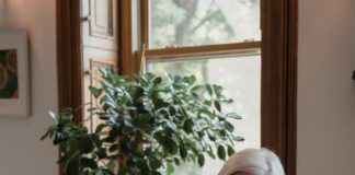 pexels photo 8865106