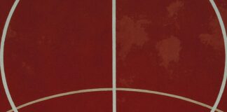 pexels photo 9590405